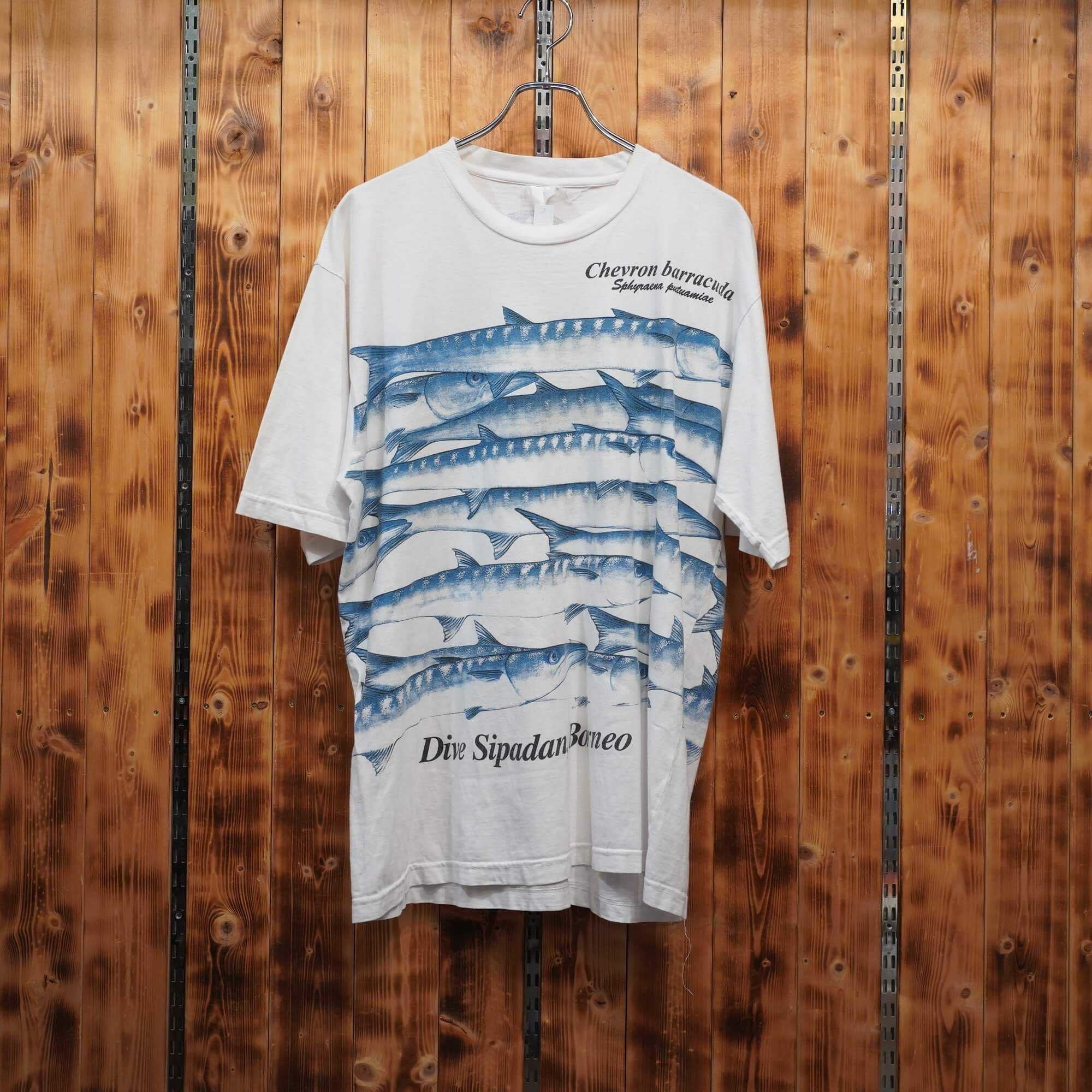 chevron barracuda カマス Tシャツ L/魚 フィッシング