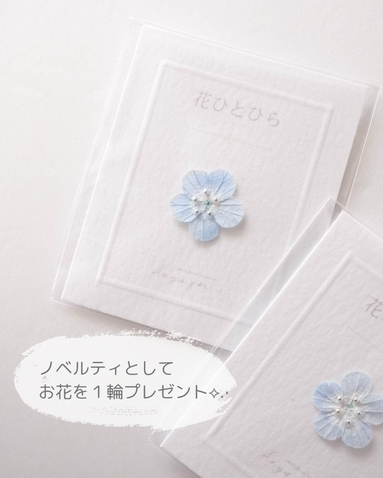 公式LINE限定先行販売『 - ネモフィラ - 』