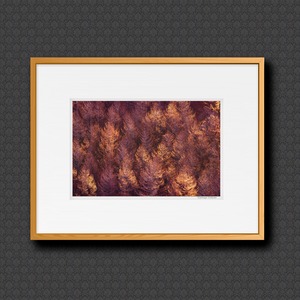 秋容　■額縁サイズ（三三）606×455mm