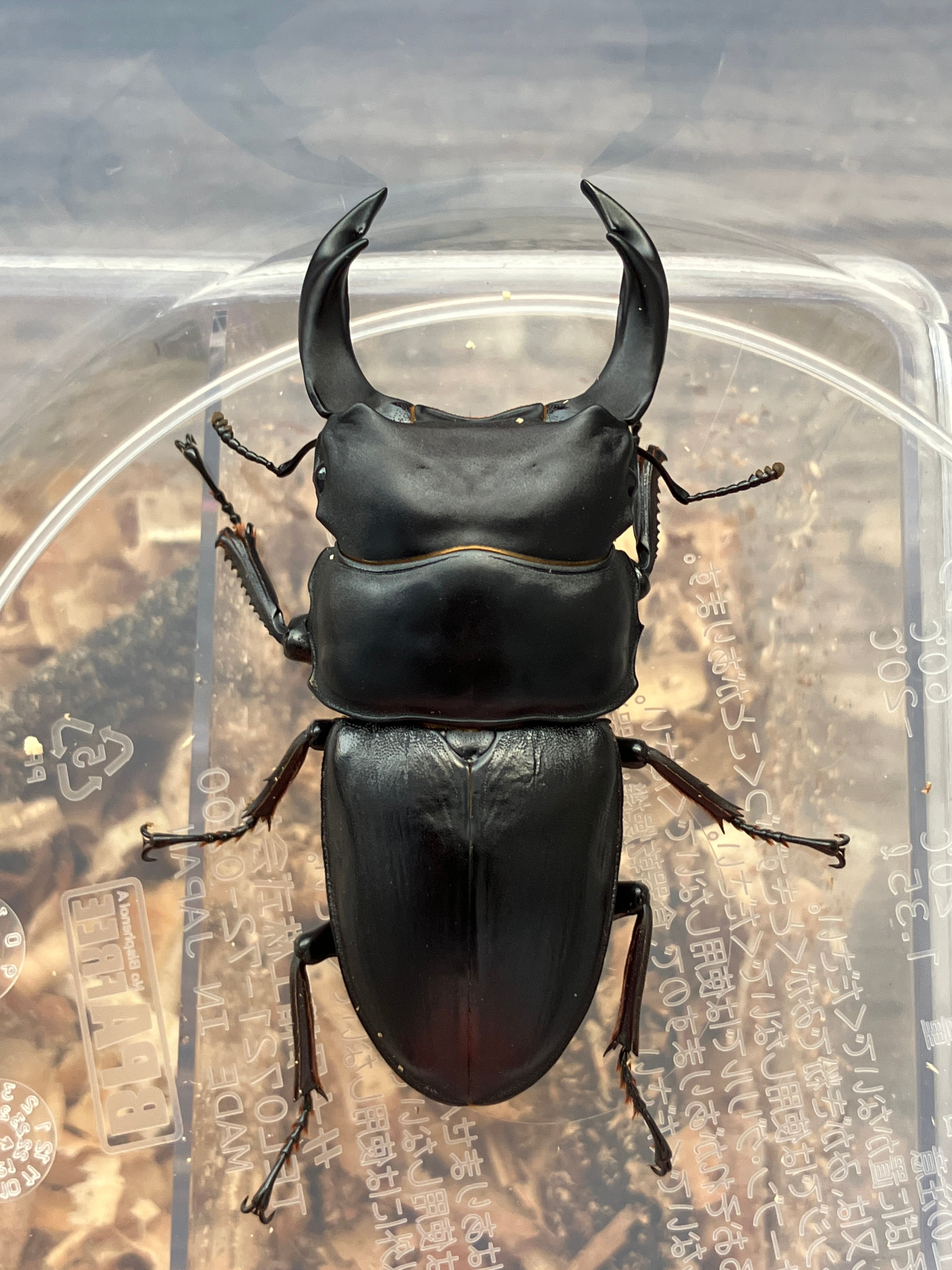 ビスクドール 赤ちゃん 約40cm ハンドメイド ファッションドール