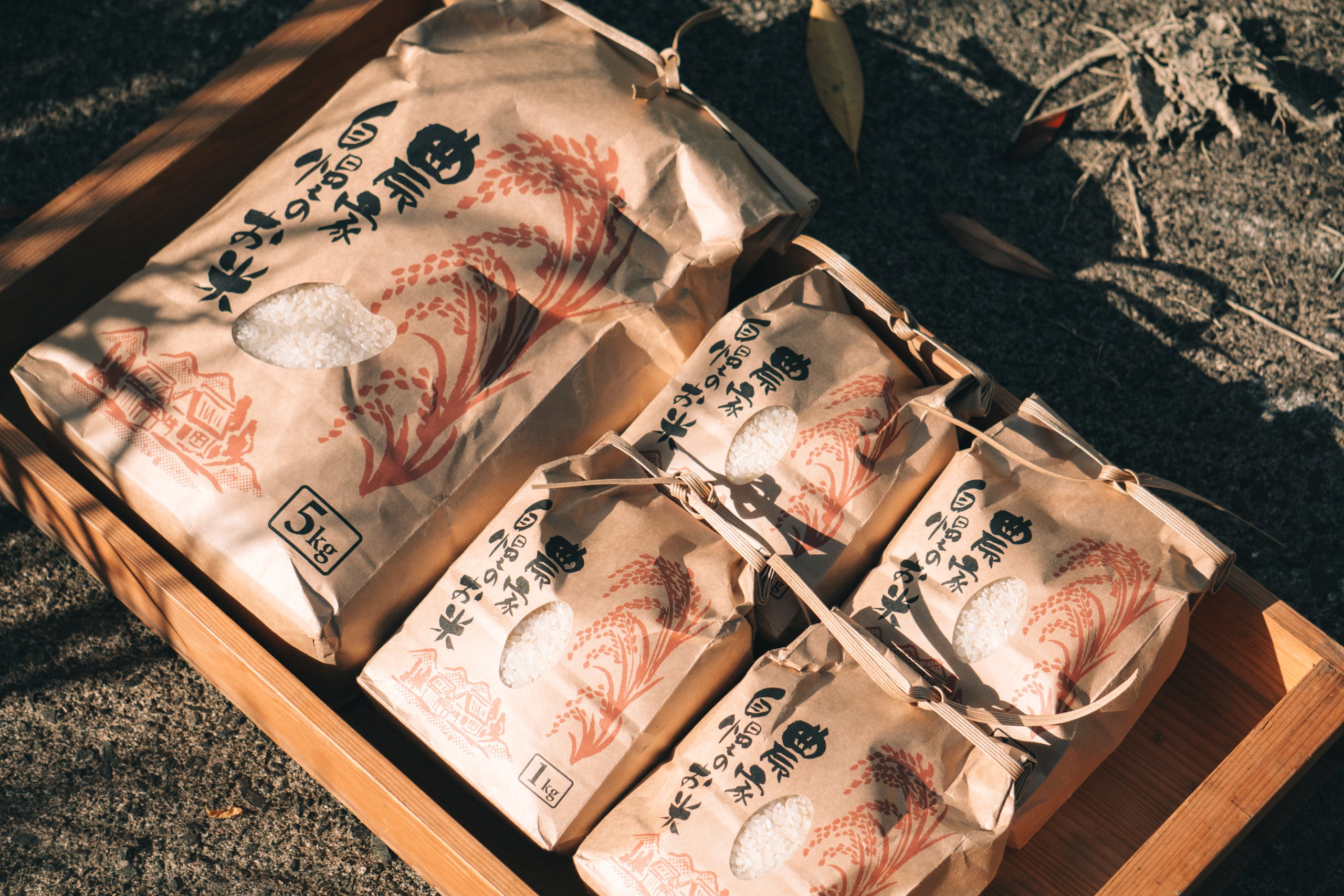 令和8年産 京都産コシヒカリ 10kg R8年新米】京都産 コシヒカリ｜10kg｜農薬・化学肥料・除草剤不使用