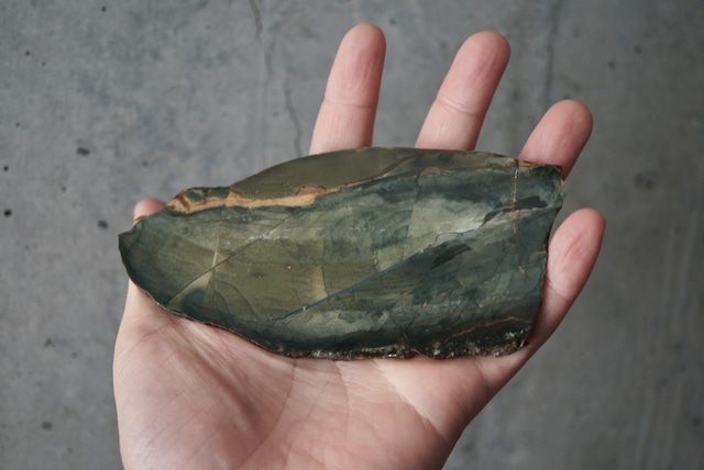 ブルーマウンテン・ジャスパー Blue Mountain Jasper 1875