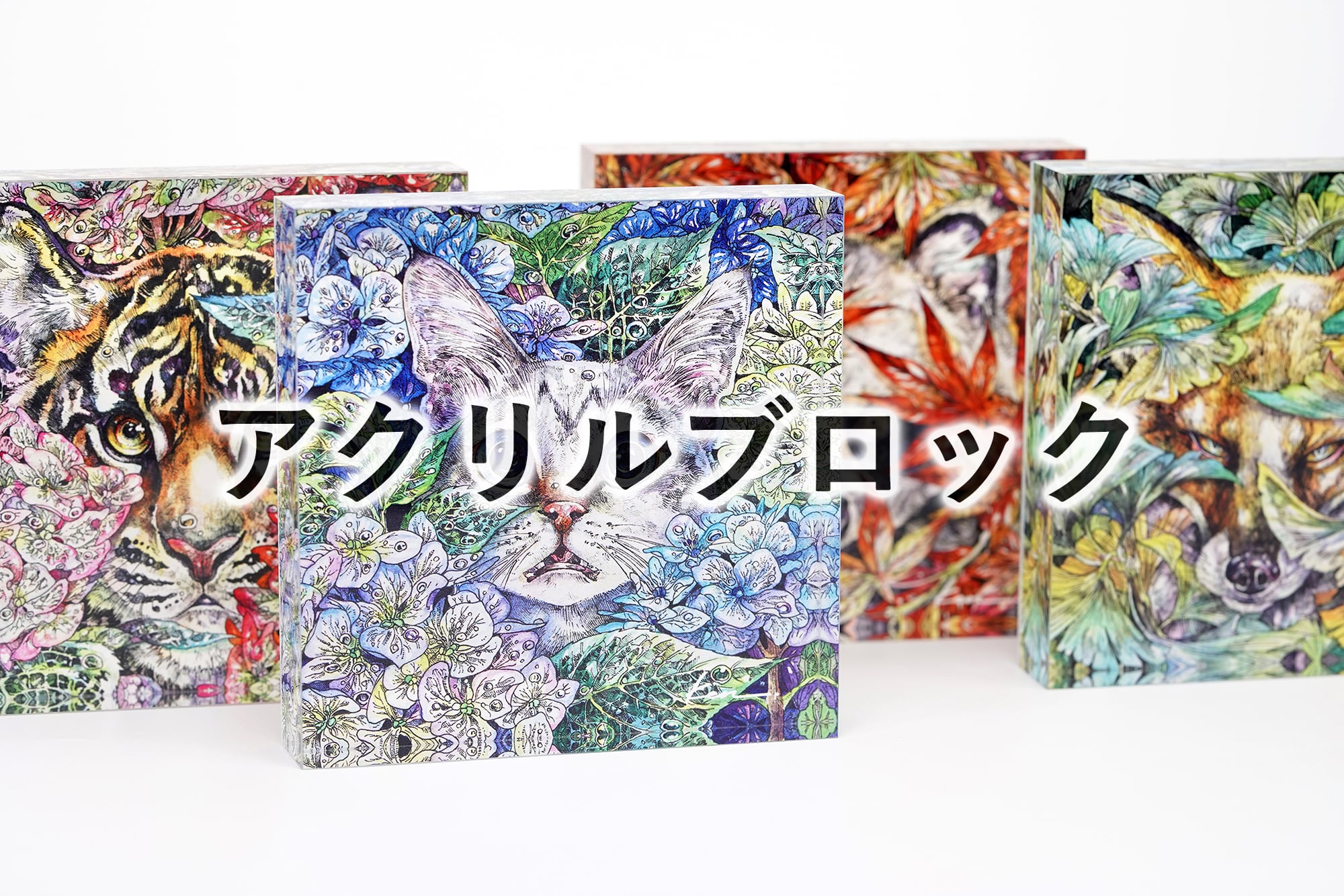 KEN MATSUDA ONLINE STORE