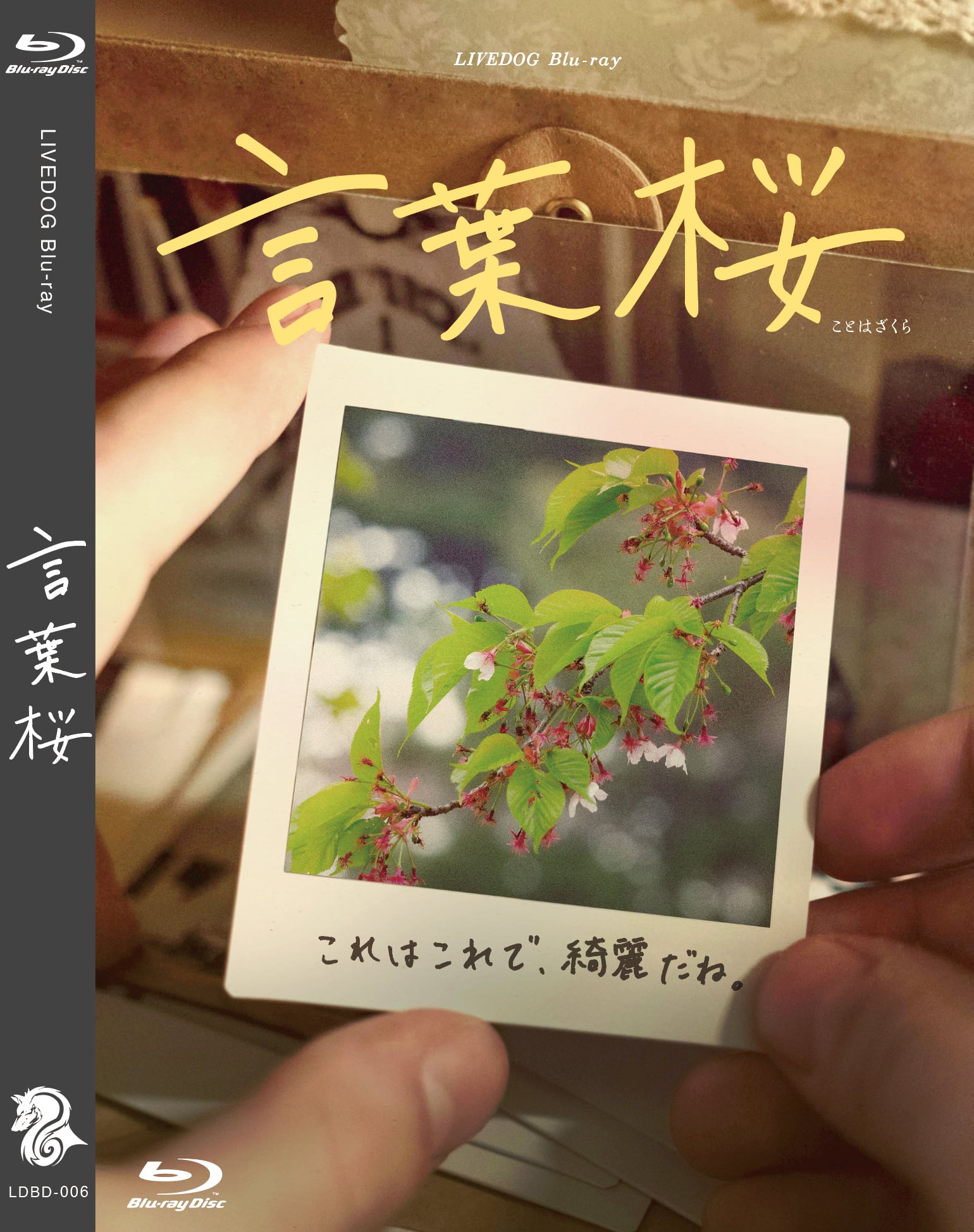 南かんな JUNGLE LOVE 【公式通販】