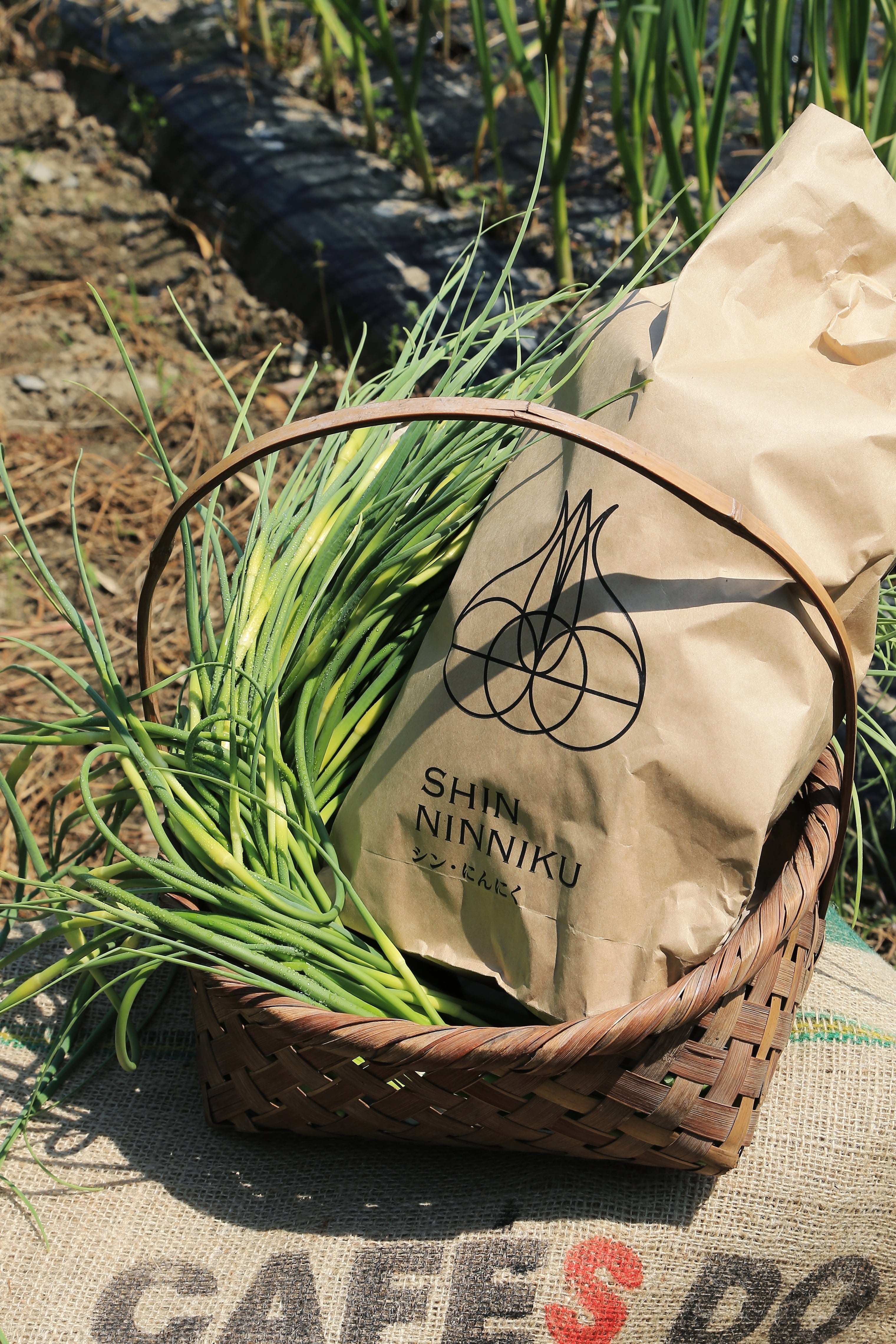 commodities | トラキチ農園