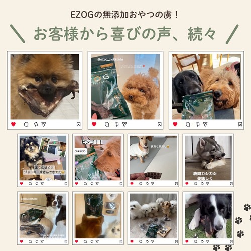 【数量限定】【デンタルケア】エゾ鹿アキレス ４０ｇ　１回のご注文で２個まで