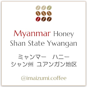 【送料込】ミャンマー　ハニー シャン州 ユアンガン地区 - Myanmar Honey Shan State Ywangan - 300g(100g×3)