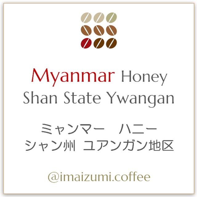 【送料込】ミャンマー　ハニー シャン州 ユアンガン地区 - Myanmar Honey Shan State Ywangan - 300g(100g×3)