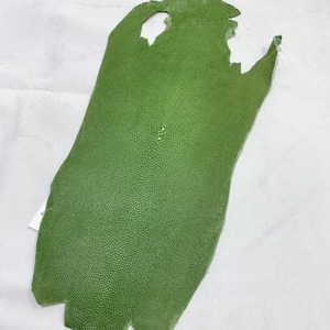 エイ革【約18㎝幅 】C3G-004 ※浅草橋中央店販売商品