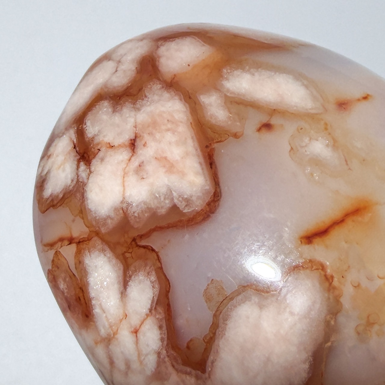 カーネリアンフラワーアゲート01 パーム ＊ 天然石