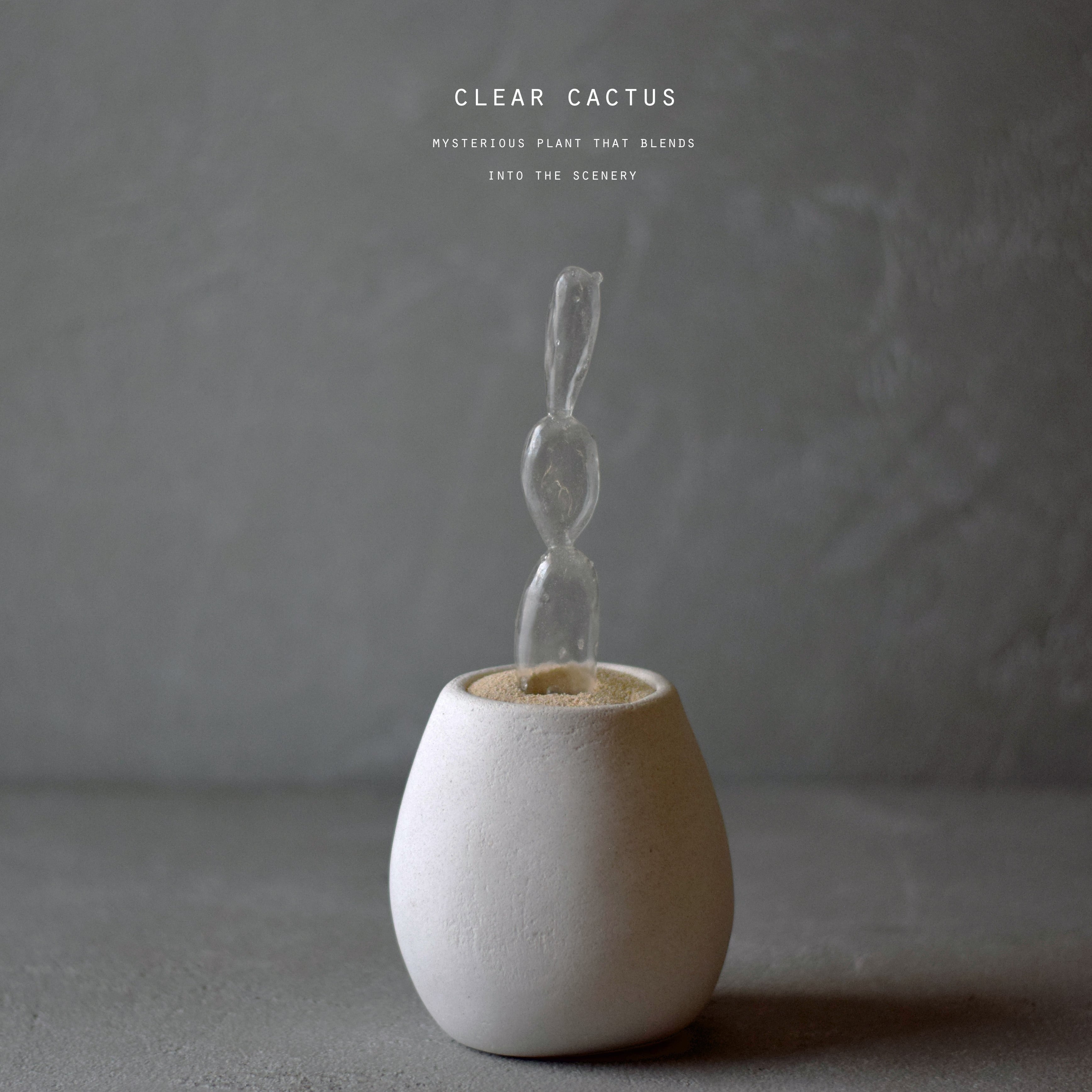 透明サボテン 003 （曇り） | Sabotensi