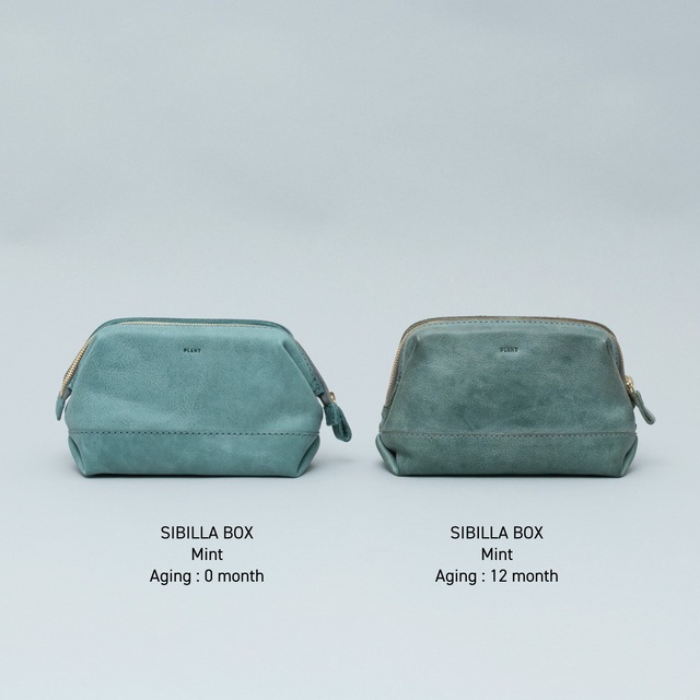 ポケットティッシュケース / 2026SS limited color