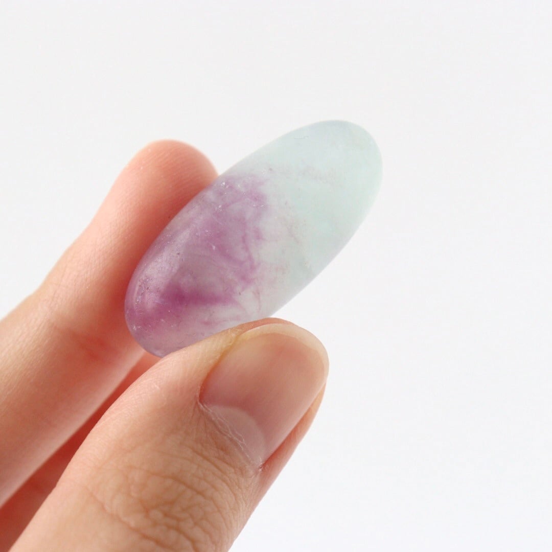 フローライト 笑口 亀 フローライト 笑口 亀 フローライト 笑口 亀 【公式通販】