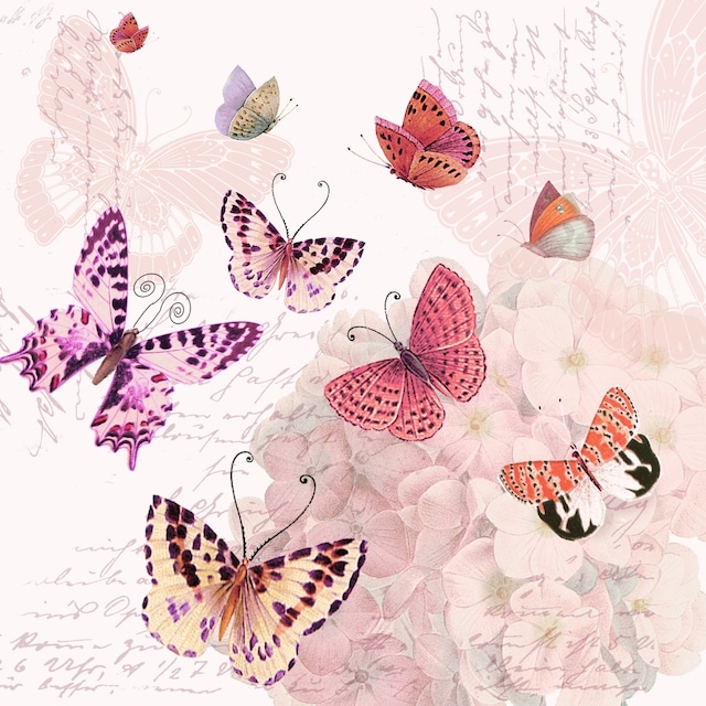 【Braun+Company】バラ売り2枚 ランチサイズ ペーパーナプキン Butterfly Romance ピンク