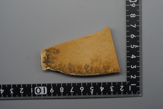 デンドライト 忍石 Dendritic limestone  ④