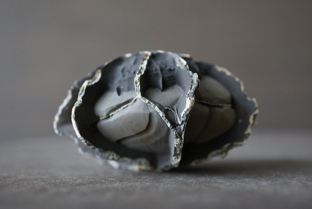 湖南省産亀甲石 1108