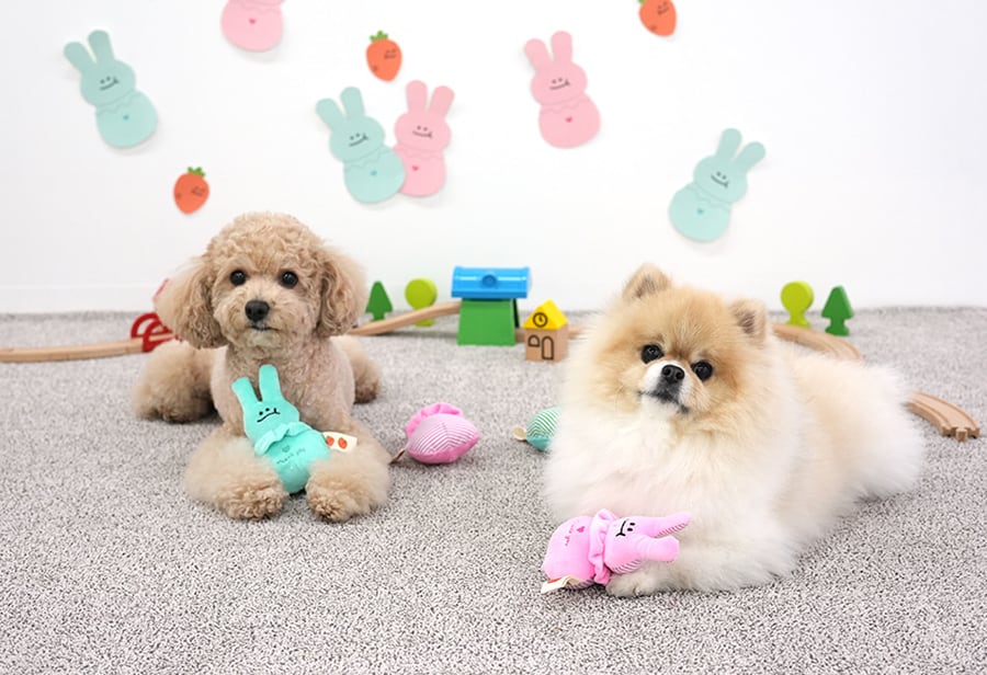 rabbit toy / ペット 犬 おもちゃ 噛む 音が鳴る 知育玩具 鳴き笛入り 可愛い わんちゃん おもちゃ ストレス解消 韓国 ペット用品 toy17