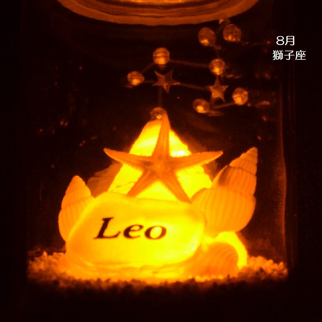 ２電源　星座シェルランプ（8月 獅子座 Leo）