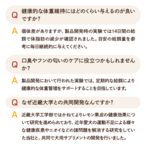 コピー：【送料無料】カテキンキューブ 4個セット｜ 犬用おやつ/ドッグフードのペットフードショップ ホウワ