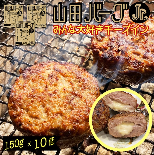 山田バーグジュニア150g (150g×10個)