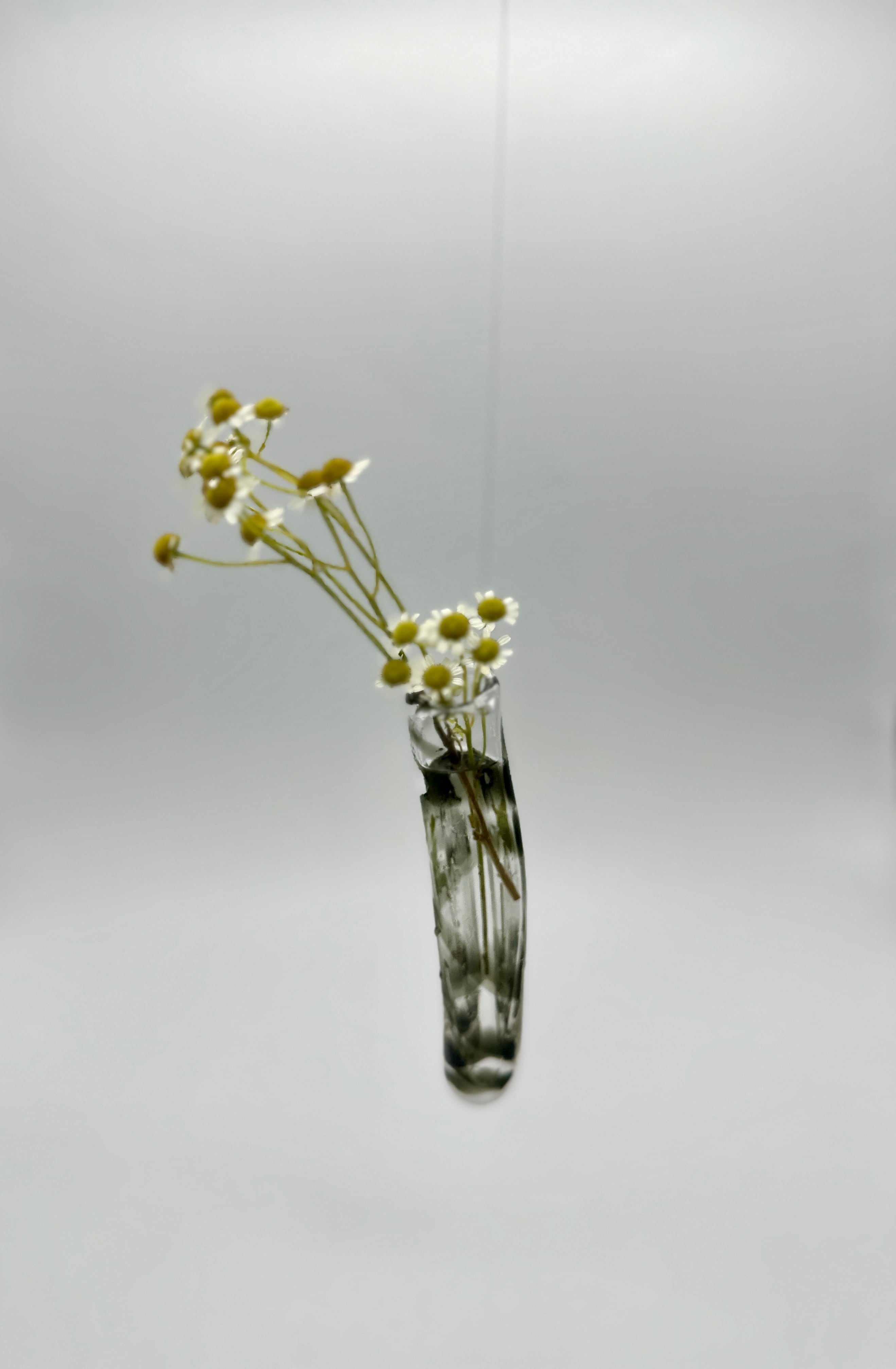 藤島孝臣 吊り花瓶 a,b,c,d | pomod'adamo (ポモダダモ)