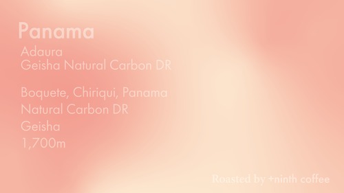 Panama Adaura , Geisha -  Natural Carbon DR 30g~