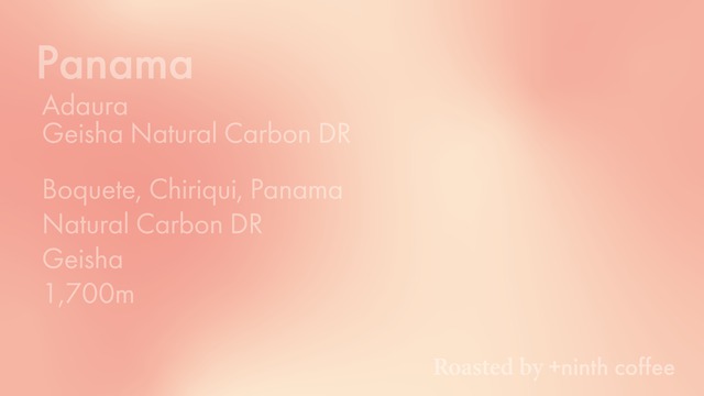 【Last!!】Panama Adaura ASD 92, Geisha -  Anaerobic Slow Dry