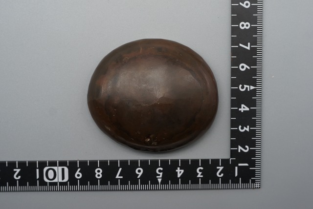 魚の糞石 Fish coprolite in nodule