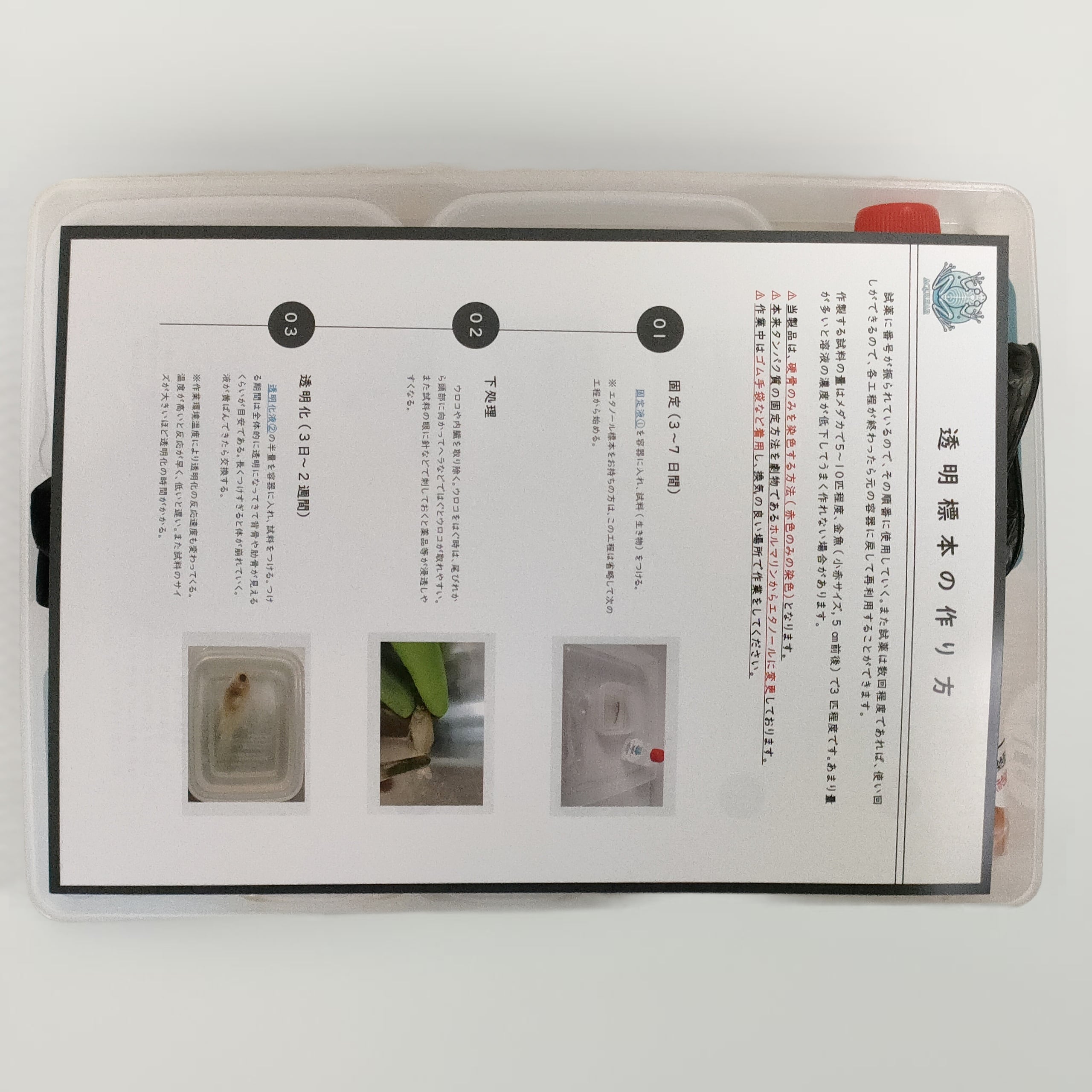 オリジナル商品☆専用販売【透明標本作製キット】×2個 透明標本作製キット】(上級)全20点 | Pay ID