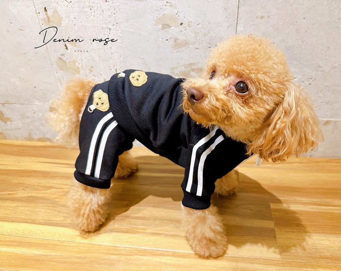 ワッペンジャージジャケット | DENIM ROSE