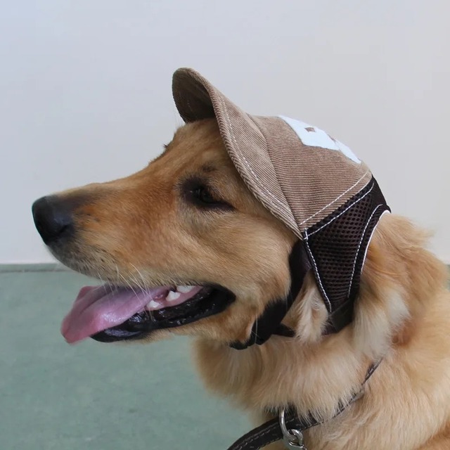 犬の帽子　キャップ　日除け　熱射病　大型犬　中型犬　ゴールデンレトリバー