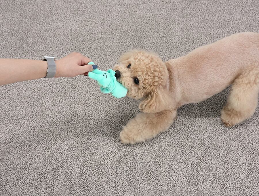 rabbit toy / ペット 犬 おもちゃ 噛む 音が鳴る 知育玩具 鳴き笛入り 可愛い わんちゃん おもちゃ ストレス解消 韓国 ペット用品 toy17