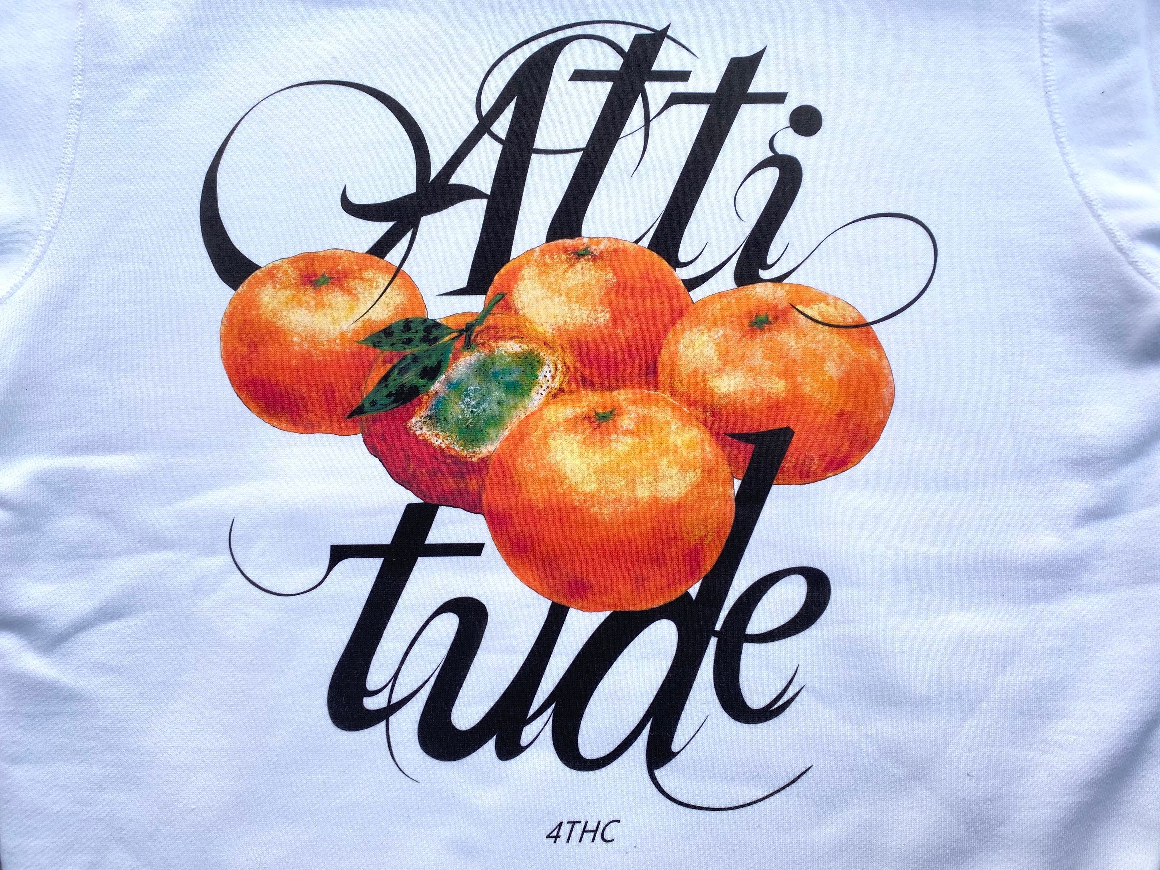 ATTITUDE