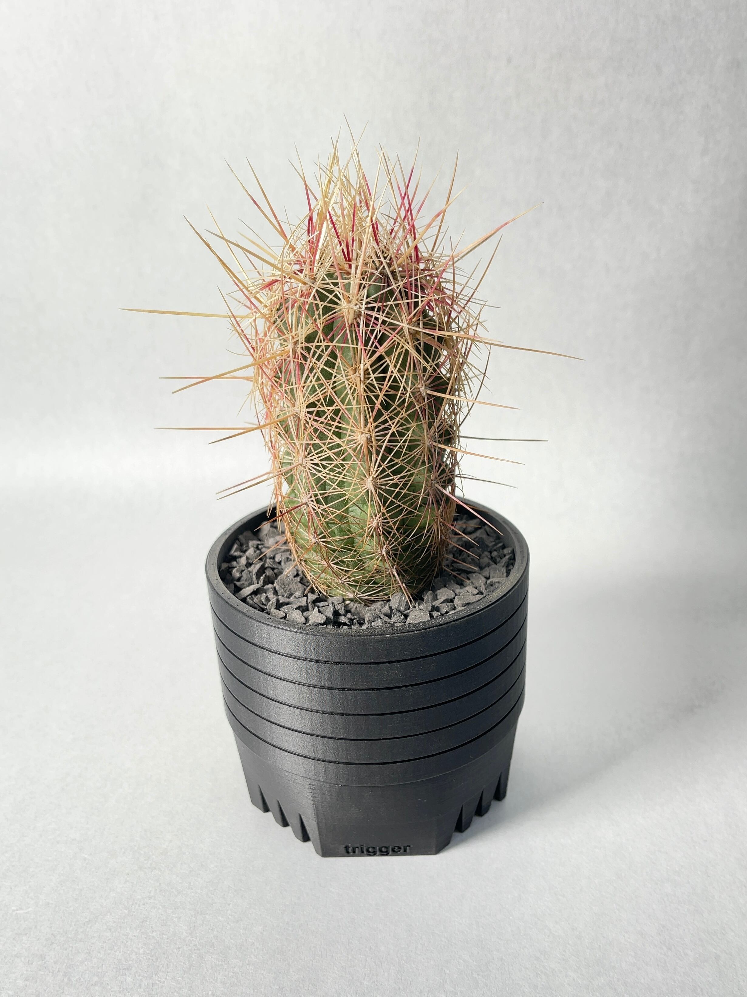 テロカクタス・五色大統領 | trigger