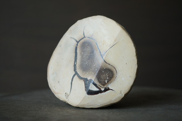 マダガスカル産セプタリアン Septarian 1395