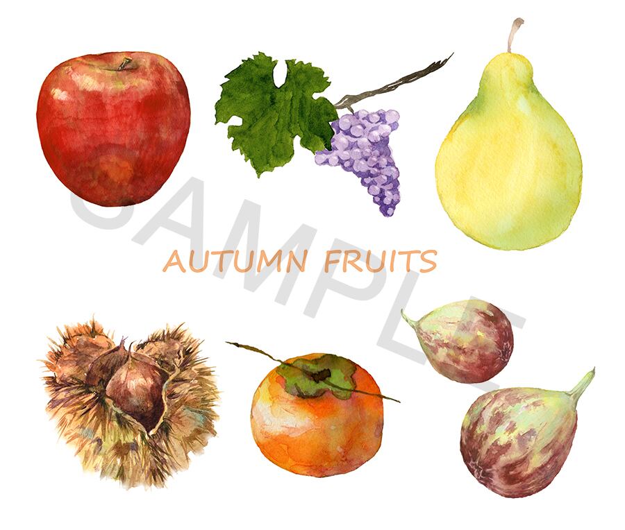 水彩画 果物 緑色フレーム　『秋の陽だまり』 秋のフルーツの水彩画セット | イラスト素材屋