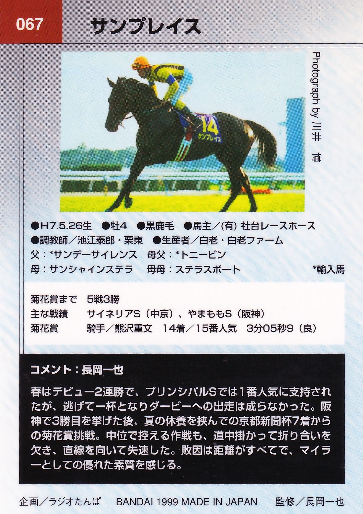 サンプレイス：第59回 菊花賞出走馬「サラブレッドカード 98年下半期