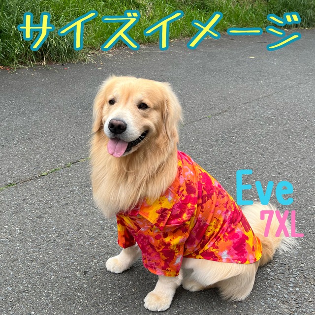 【犬の洋服】新作シャツ　カラフル　ポップ　5XL～8XL　夏服　犬用品