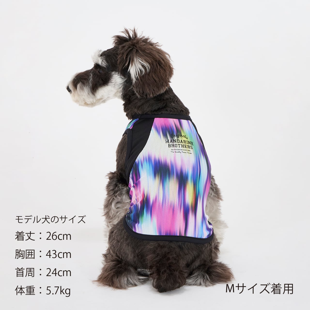 COOL AURORA TANK（M.MD.L） クールオーロラタンク | MANDARINE