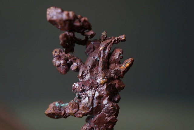 カザフスタン産自然銅  Native Copper 1888