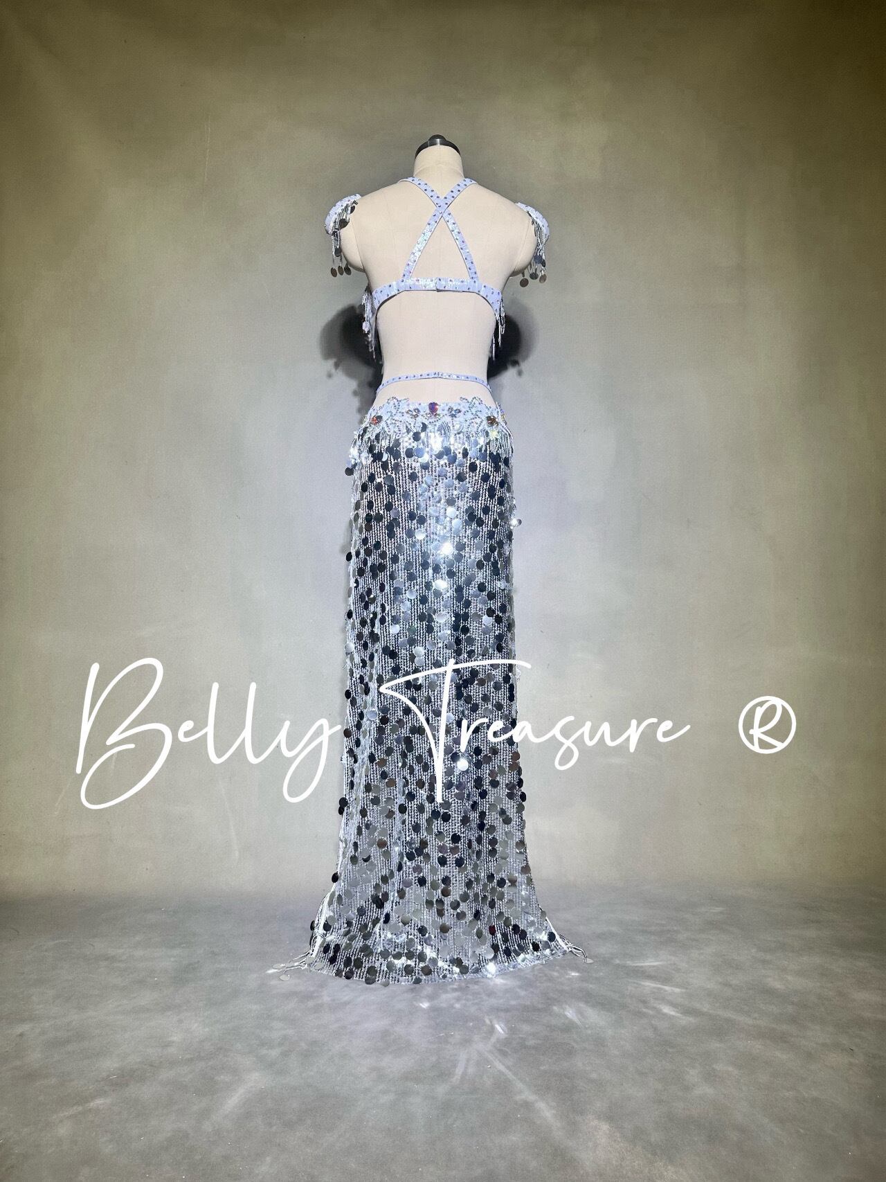 ベリーダンス オーダーメイド衣装 YWQQ Y226 202604 | Belly Treasure®︎