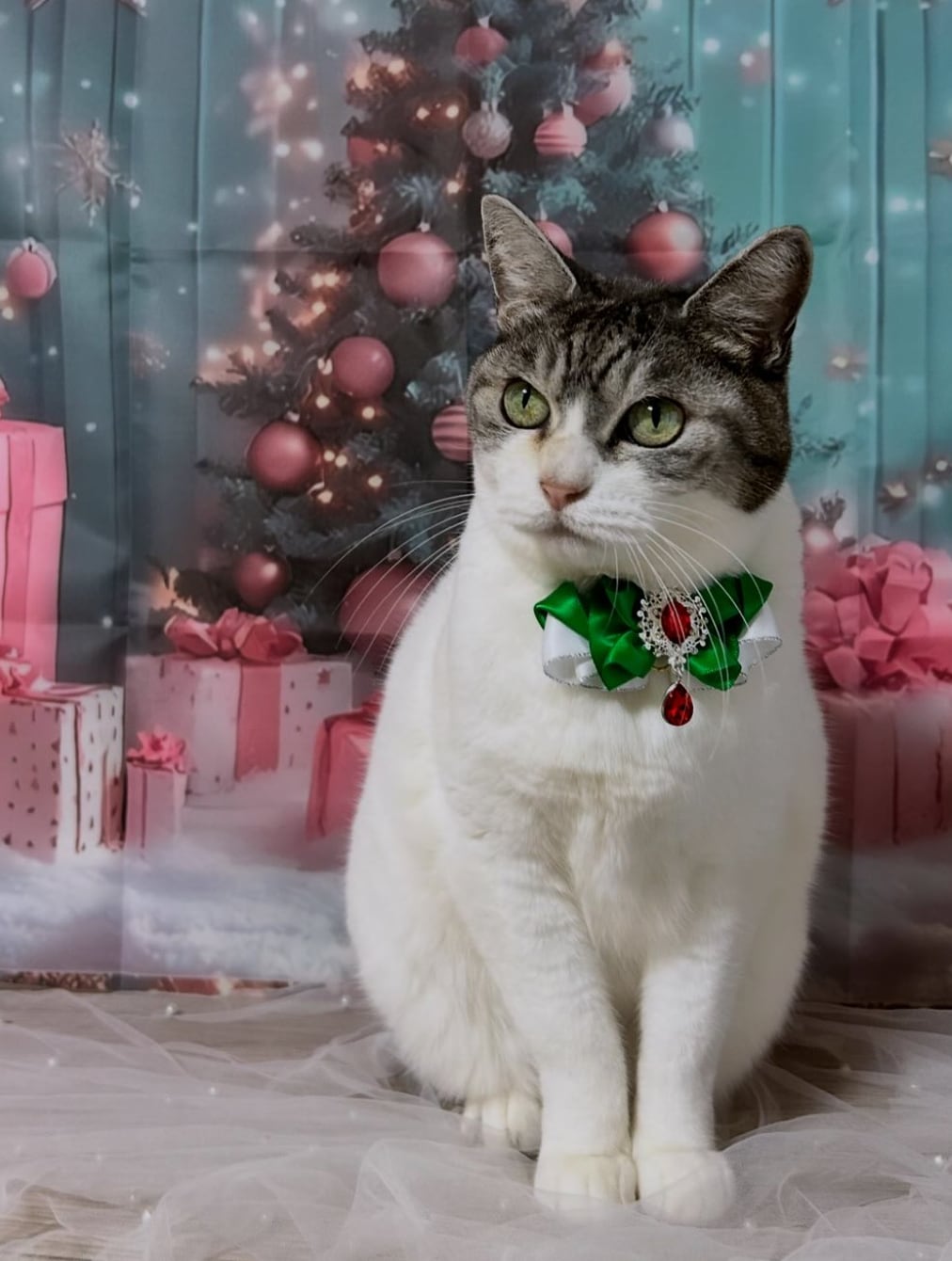 専用商品　トリミングチョーカー　クリスマス　お正月 犬 トリミングチョーカー トリミングリボン トリミング