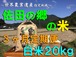 【令和５年新米】佐田の郷の米（３ヶ月定期便、白米２０kg／玄米２２kg×４回）【慣行栽培米】