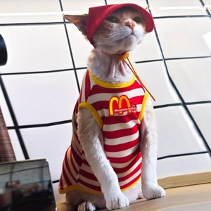 【PET】マクドナルドトップス＆キャップセット