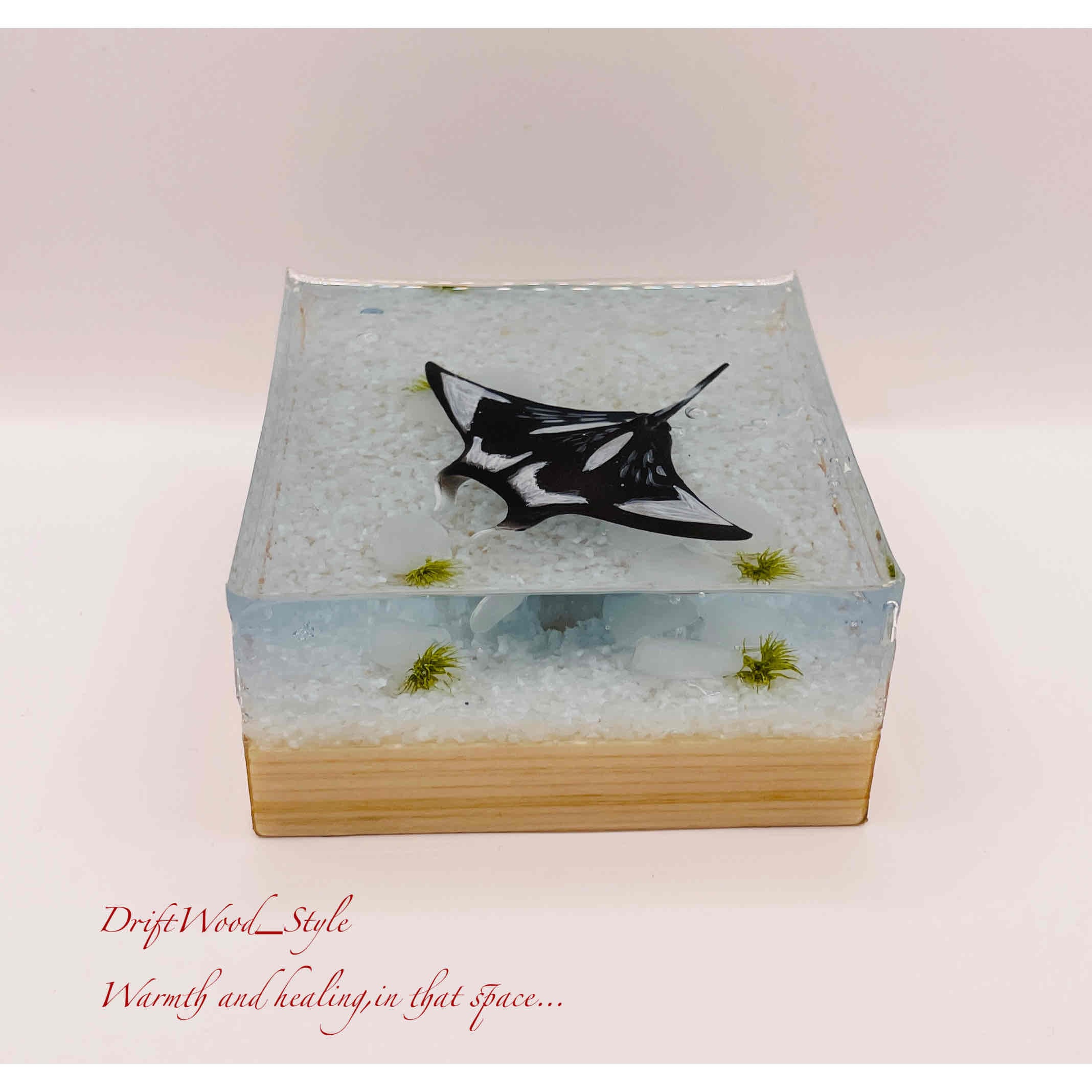 受注制作】海の世界を閉じ込めた流木アート マンタ 水中ジオラマ 流木