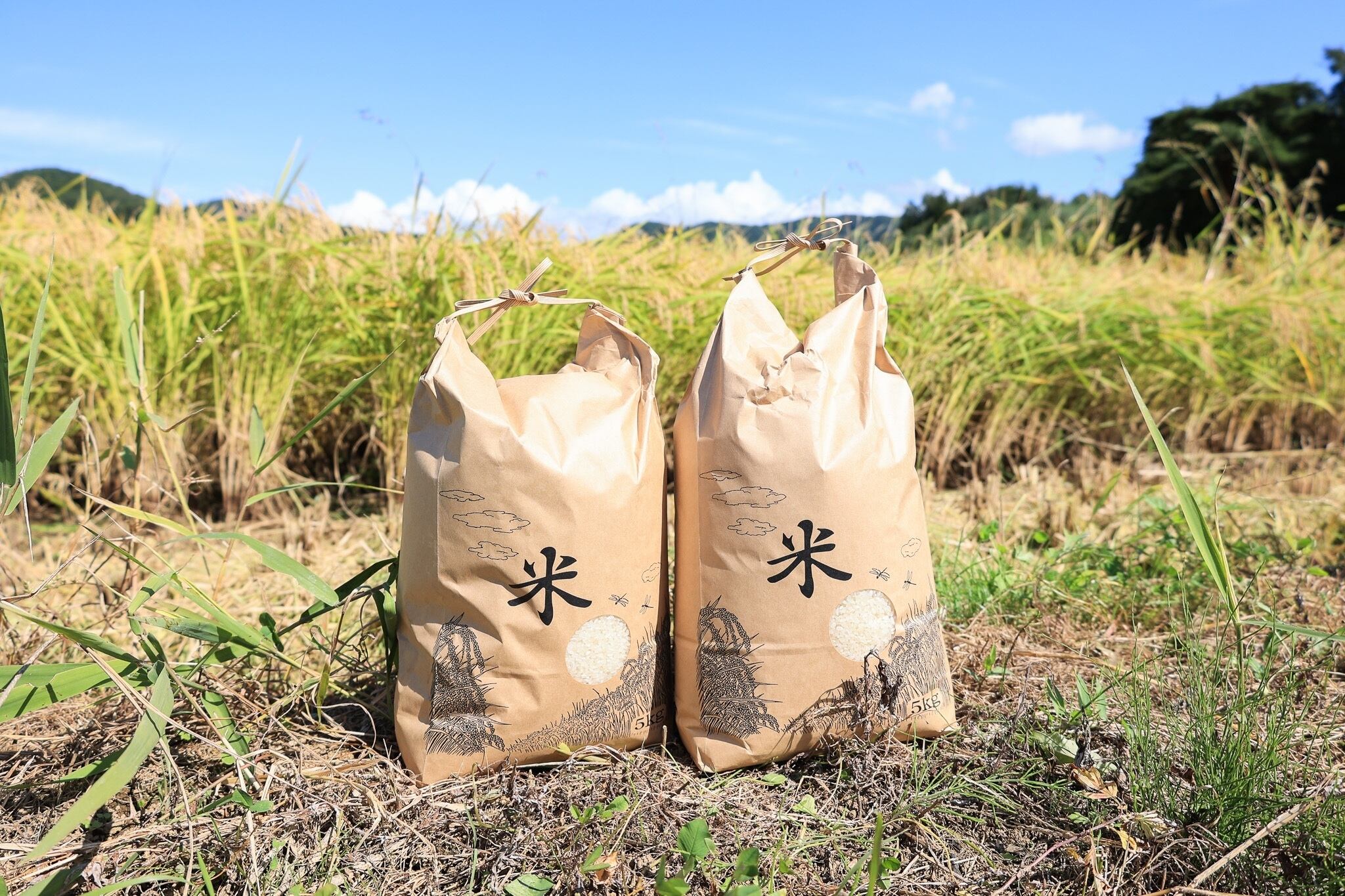 ひとめぼれ 玄米」10kg(5kg袋×2) 特別栽培 一等米 2025年秋新米！ | 大