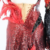 社交ダンス 衣装 THE ONE ザワン スタンダードドレス ドレス ワンピース フロート デモ 競技 ダンス スパンコール 赤 黒 フロート リボン ブラック系 レッド系 華やか 大人 女性用 輝き おしゃれ パーティー 競技用 ステージ衣装 ダンスパフォーマンス