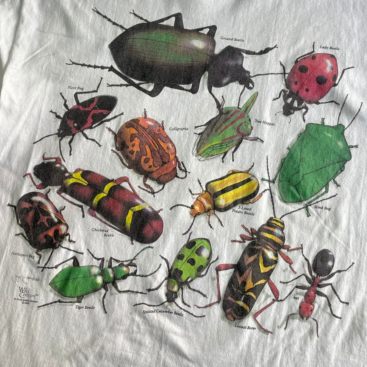 90年代 USA製 昆虫 アートプリントTシャツ メンズL 古着 90s 