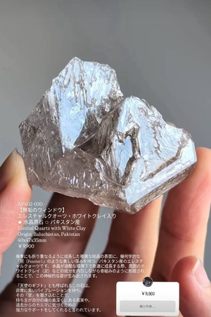 ⭔ お客様専用ページ ⭔ springfield_shona様　