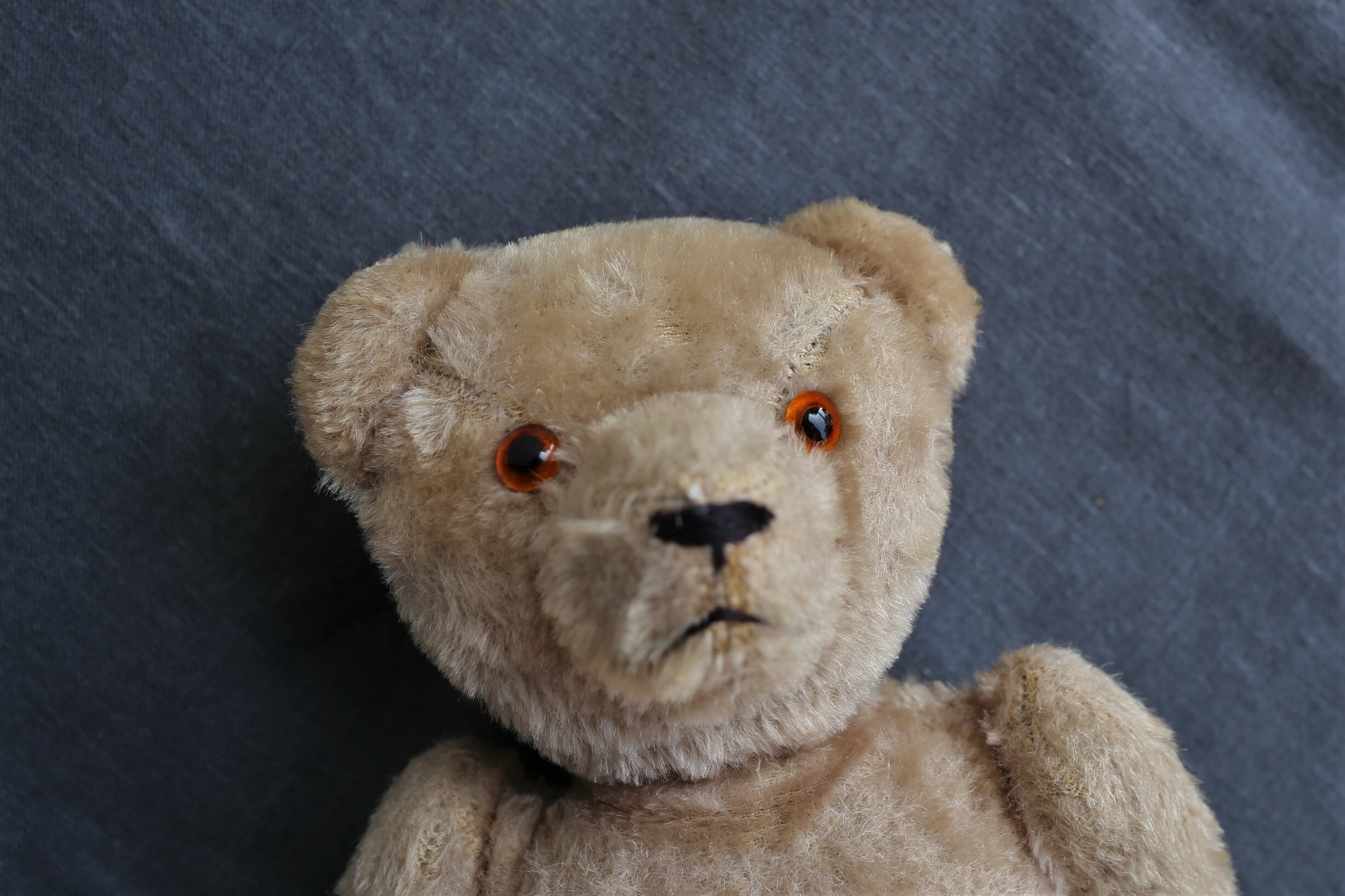 フランス アンティーク ヴィンテージ テディベア ライトブラウン N